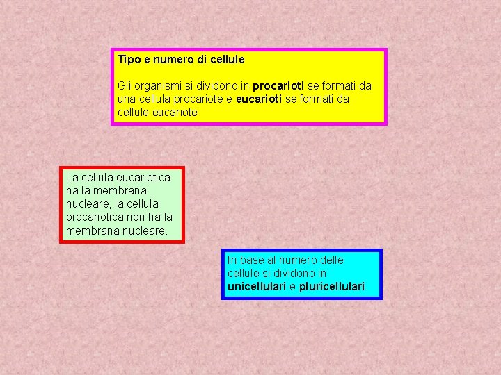 Tipo e numero di cellule Gli organismi si dividono in procarioti se formati da