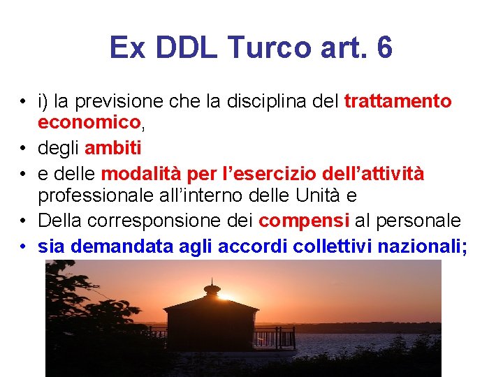 Ex DDL Turco art. 6 • i) la previsione che la disciplina del trattamento