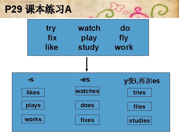 P 29 课本练习A try watch do fix play fly like study work -s -es