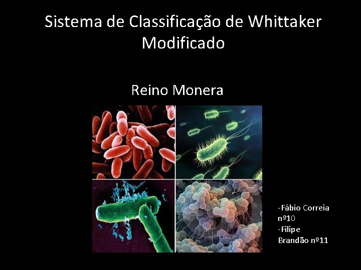 Sistema de Classificação de Whittaker Modificado Reino Monera -Fábio Correia nº 10 -Filipe Brandão