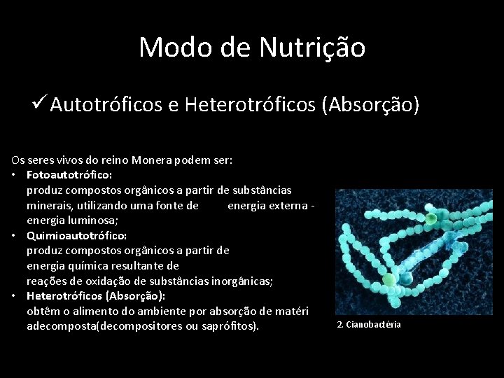 Modo de Nutrição ü Autotróficos e Heterotróficos (Absorção) Os seres vivos do reino Monera