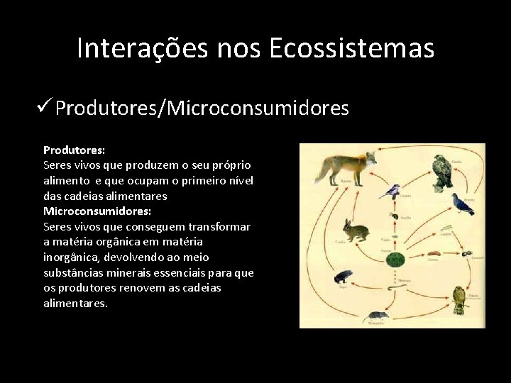 Interações nos Ecossistemas ü Produtores/Microconsumidores Produtores: Seres vivos que produzem o seu próprio alimento