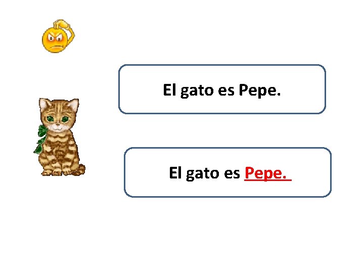 El gato es Pepe. 