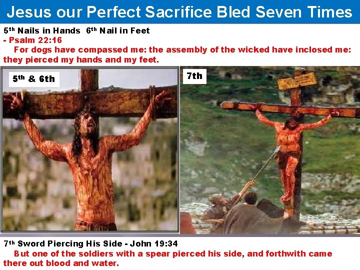 Jesus our Perfect Sacrifice Bled Seven Times 5 th Nails in Hands 6 th