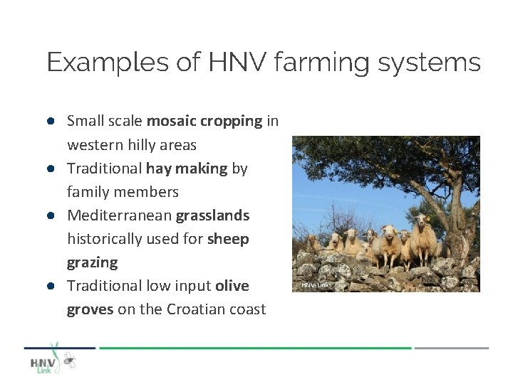 Examples of HNV farming systems ● Small scale mosaic cropping in western hilly areas