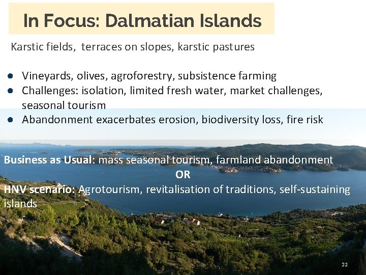In Focus: Dalmatian Islands Karstic fields, terraces on slopes, karstic pastures ● Vineyards, olives,