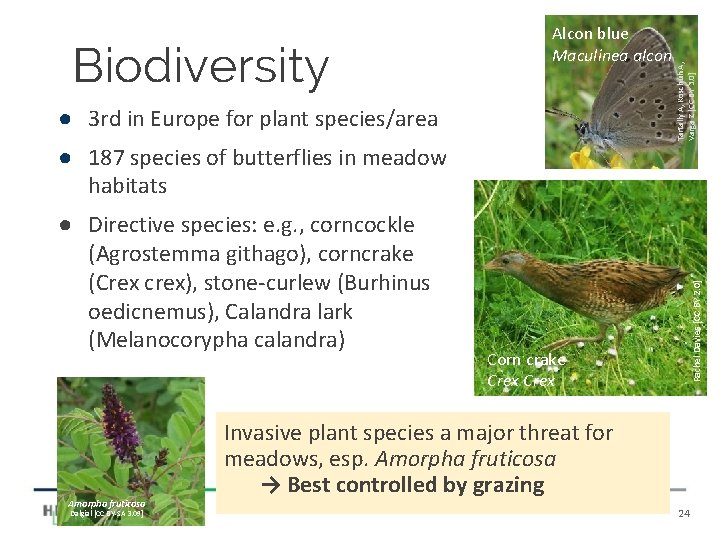 ● 3 rd in Europe for plant species/area Tartally A, Koschuh A, Varga Z