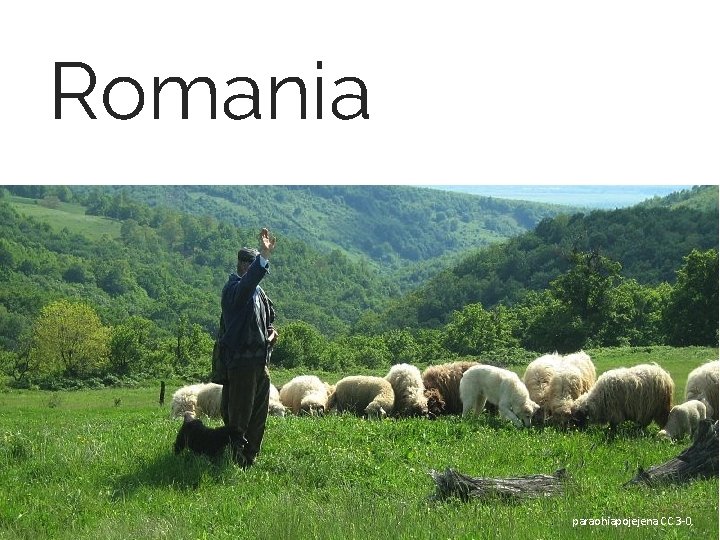 Romania paraohiapojejena 27 CC 3 -0 