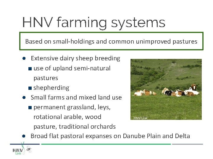HNV farming systems Based on small-holdings and common unimproved pastures ● Extensive dairy sheep