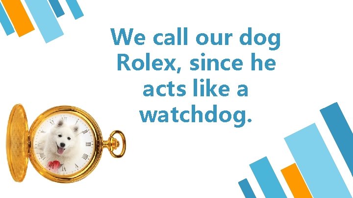 We call our dog Rolex, since he acts like a watchdog. 