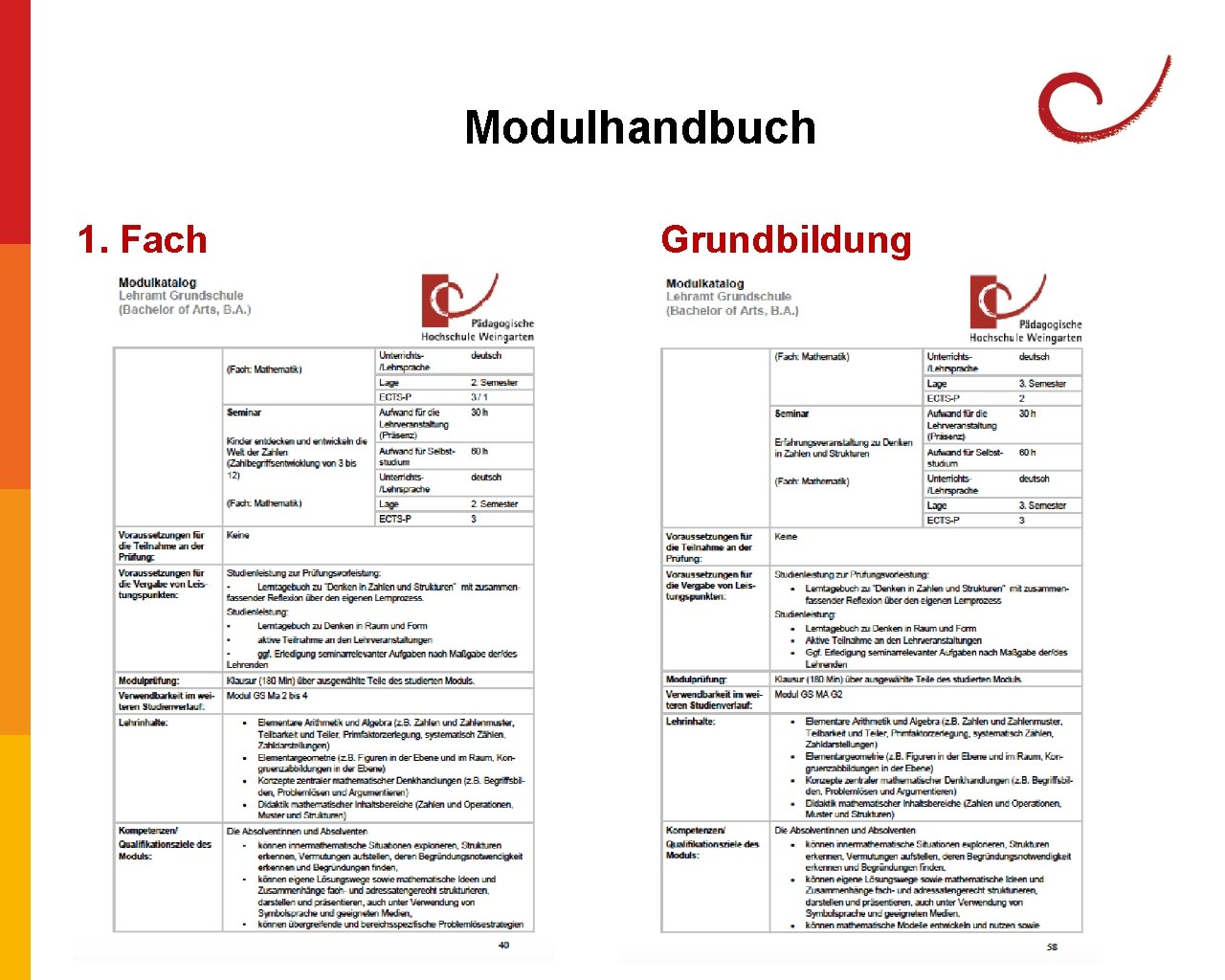 Modulhandbuch 1. Fach Grundbildung Modulhandbuch 1. Fach Grundbildung