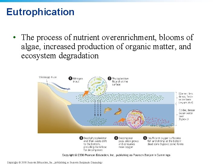 Eutrophication • The process of nutrient overenrichment, blooms of algae, increased production of organic