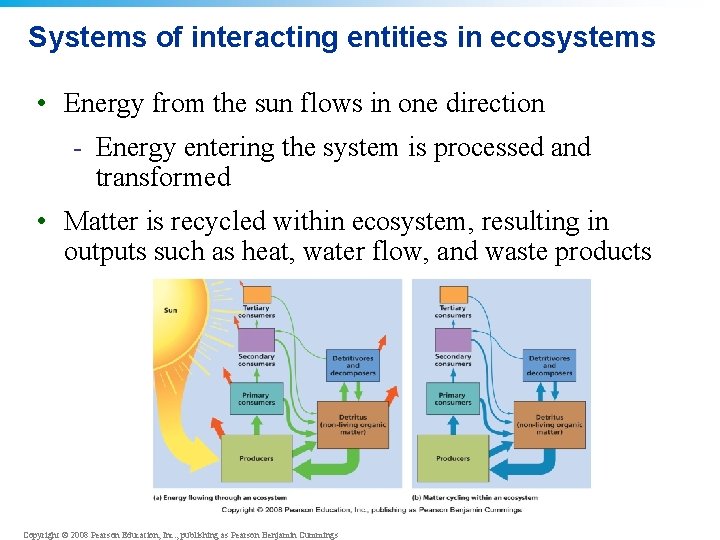 Systems of interacting entities in ecosystems • Energy from the sun flows in one