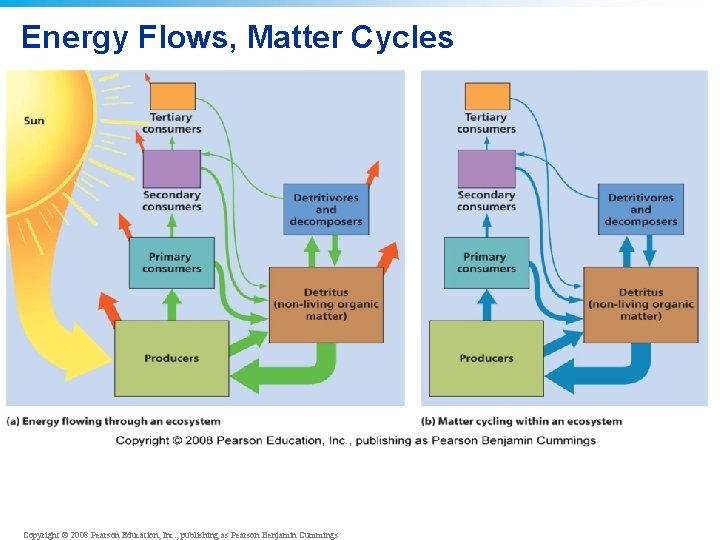 Energy Flows, Matter Cycles Copyright © 2008 Pearson Education, Inc. , publishing as Pearson