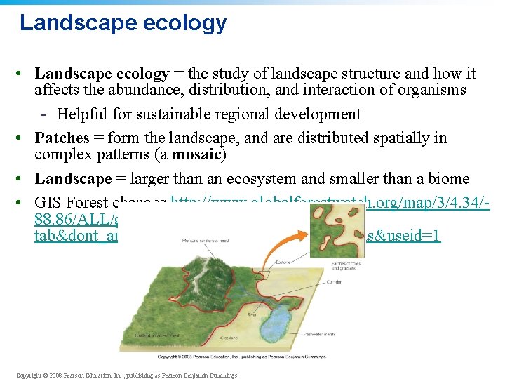 Landscape ecology • Landscape ecology = the study of landscape structure and how it