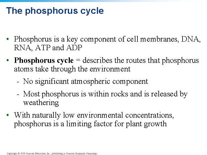 The phosphorus cycle • Phosphorus is a key component of cell membranes, DNA, RNA,