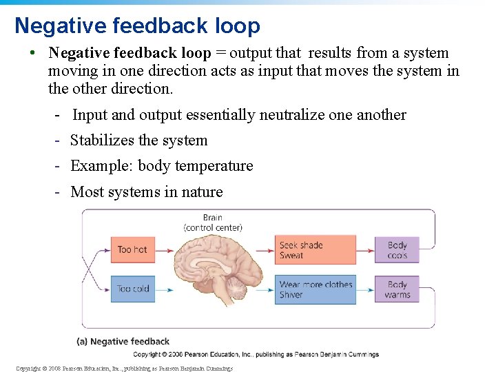 Negative feedback loop • Negative feedback loop = output that results from a system