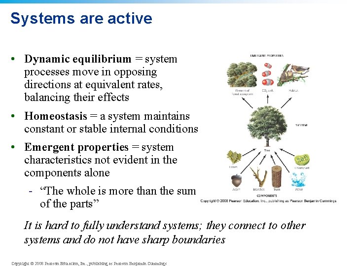 Systems are active • Dynamic equilibrium = system processes move in opposing directions at