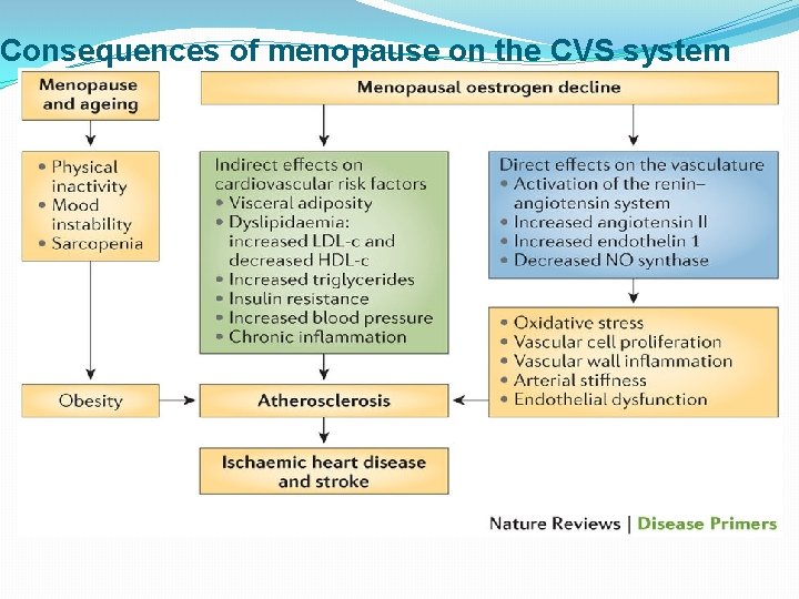Consequences of menopause on the CVS system 