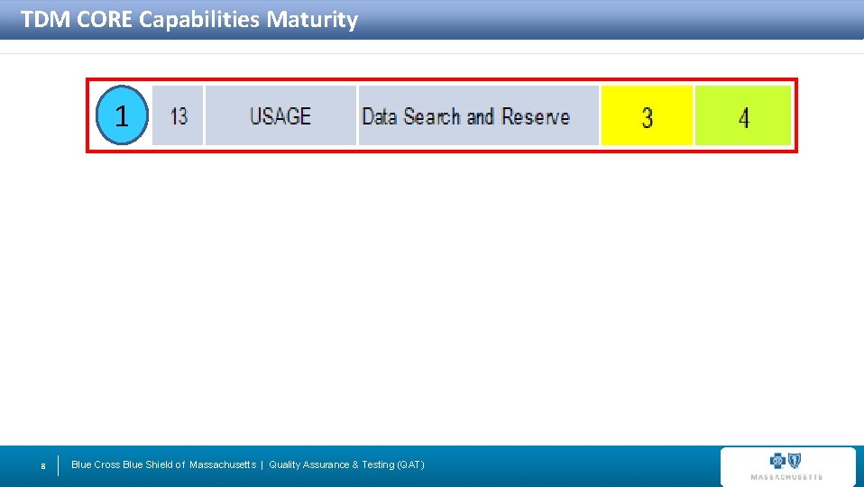 TDM CORE Capabilities Maturity 1 8 Blue Cross Blue Shield of Massachusetts | Quality