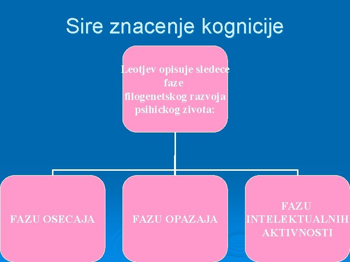 Sire znacenje kognicije Leotjev opisuje sledece faze filogenetskog razvoja psihickog zivota: FAZU OSECAJA FAZU