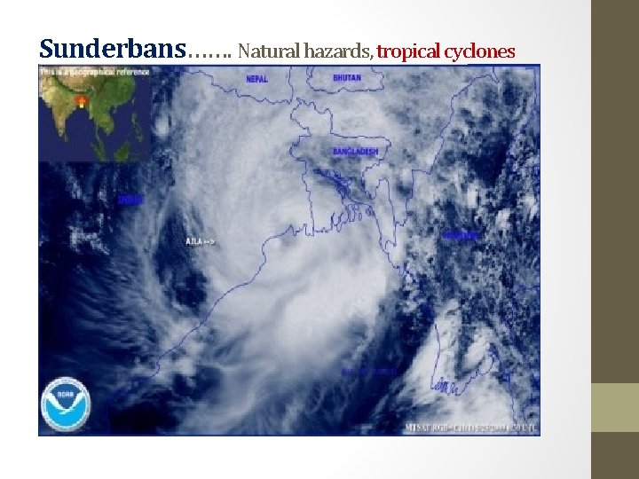 Sunderbans……. Natural hazards, tropical cyclones 
