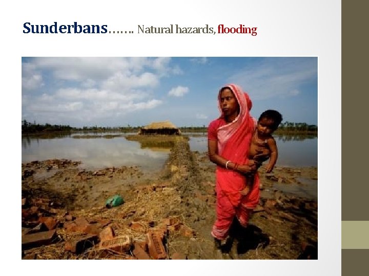 Sunderbans……. Natural hazards, flooding 
