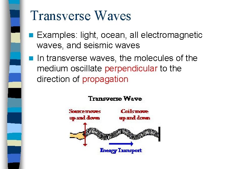 Transverse Waves Examples: light, ocean, all electromagnetic waves, and seismic waves n In transverse Transverse Waves Examples: light, ocean, all electromagnetic waves, and seismic waves n In transverse