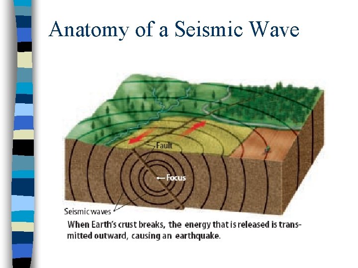 Anatomy of a Seismic Wave Anatomy of a Seismic Wave