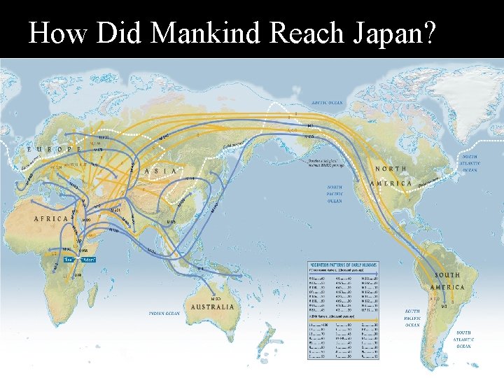 How Did Mankind Reach Japan? 
