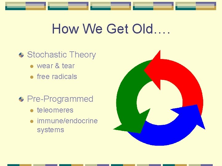 How We Get Old…. Stochastic Theory l l wear & tear free radicals Pre-Programmed