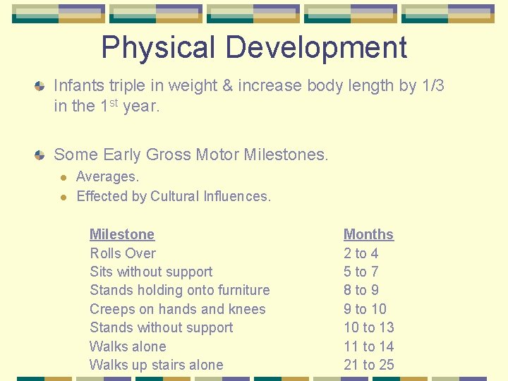 Physical Development Infants triple in weight & increase body length by 1/3 in the