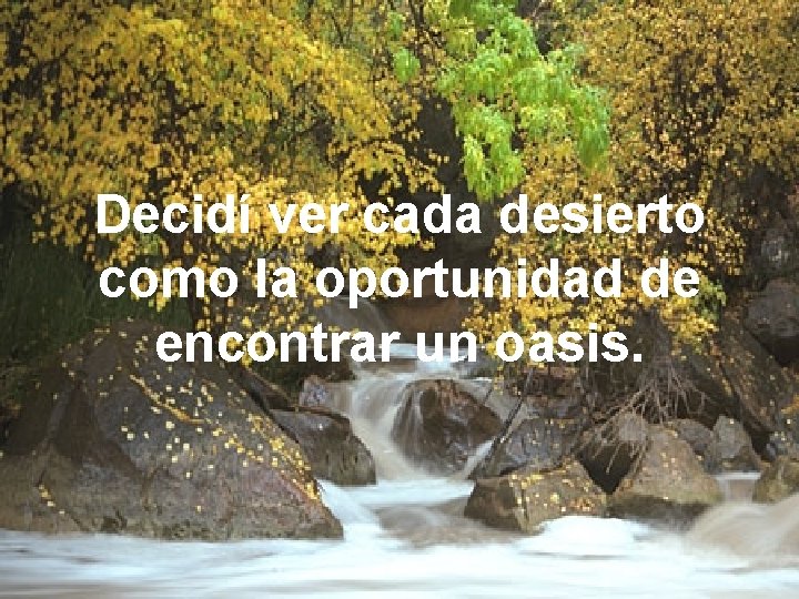 Decidí ver cada desierto como la oportunidad de encontrar un oasis. 