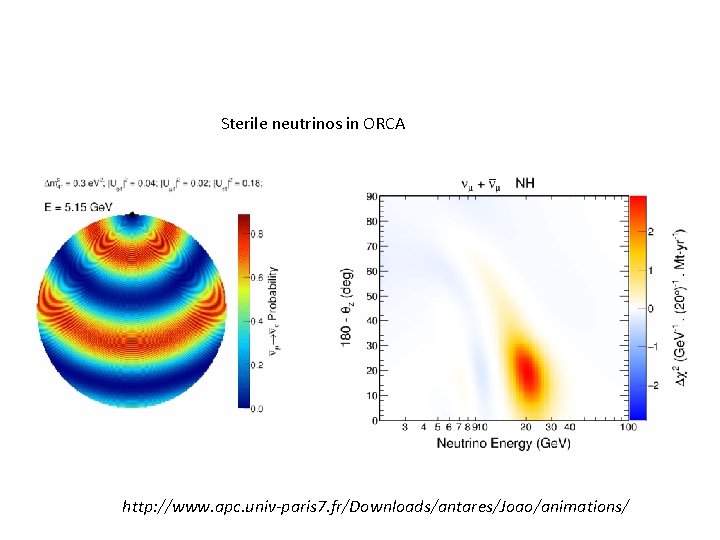 Sterile neutrinos in ORCA http: //www. apc. univ-paris 7. fr/Downloads/antares/Joao/animations/ 