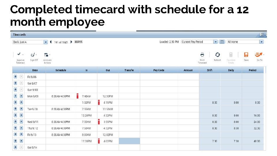 Completed timecard with schedule for a 12 month employee 