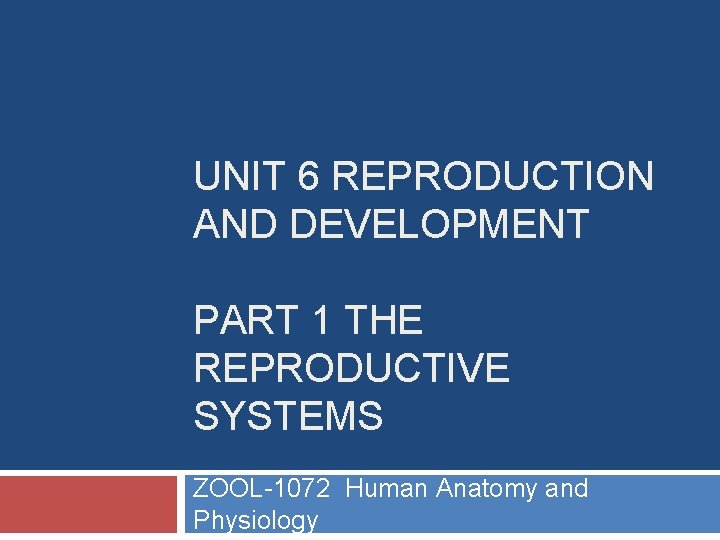 UNIT 6 REPRODUCTION AND DEVELOPMENT PART 1 THE REPRODUCTIVE SYSTEMS ZOOL-1072 Human Anatomy and