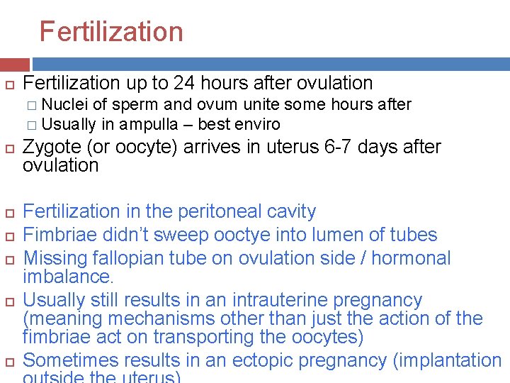 Fertilization up to 24 hours after ovulation � Nuclei of sperm and ovum unite