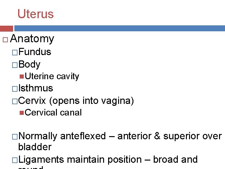 Uterus Anatomy �Fundus �Body Uterine cavity �Isthmus �Cervix (opens into vagina) Cervical canal �Normally