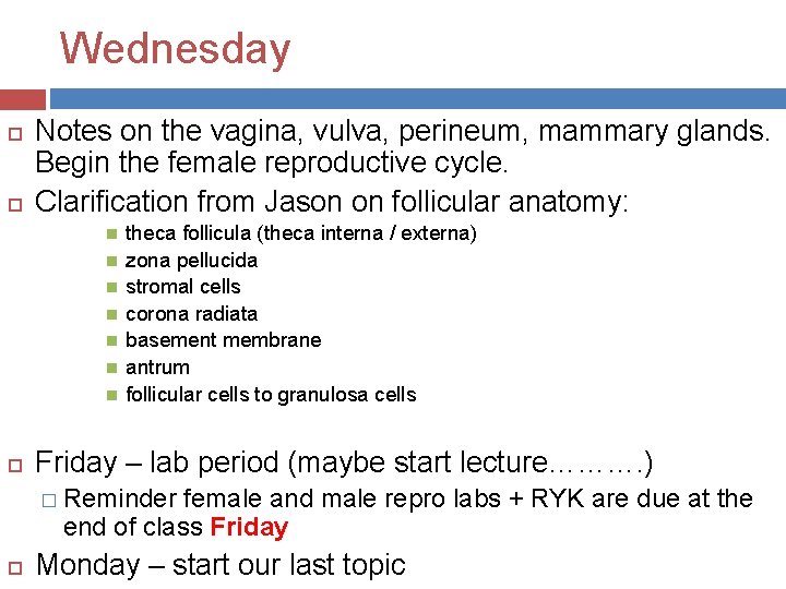 Wednesday Notes on the vagina, vulva, perineum, mammary glands. Begin the female reproductive cycle.