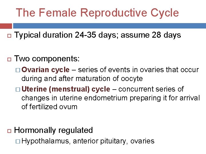 The Female Reproductive Cycle Typical duration 24 -35 days; assume 28 days Two components: