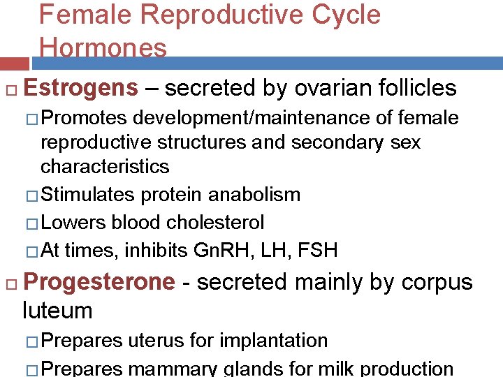 Female Reproductive Cycle Hormones Estrogens – secreted by ovarian follicles � Promotes development/maintenance of