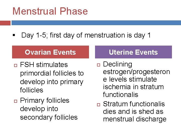 Menstrual Phase § Day 1 -5; first day of menstruation is day 1 Ovarian