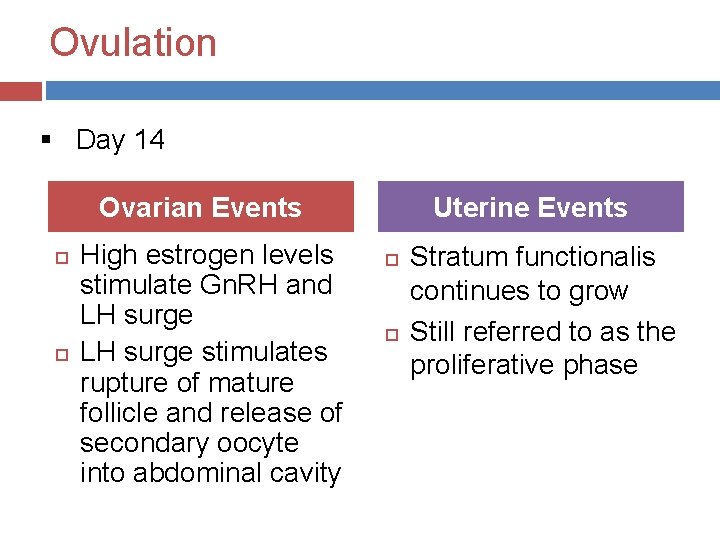 Ovulation § Day 14 Ovarian Events High estrogen levels stimulate Gn. RH and LH