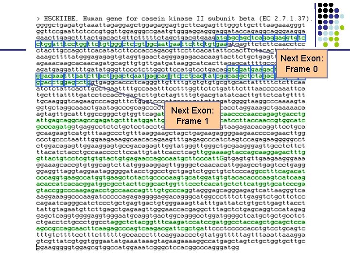 Next Exon: Frame 0 Next Exon: Frame 1 