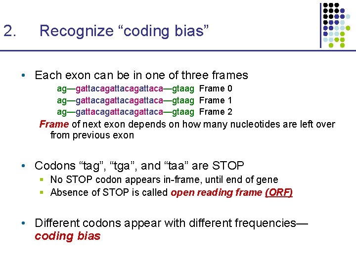 2. Recognize “coding bias” • Each exon can be in one of three frames