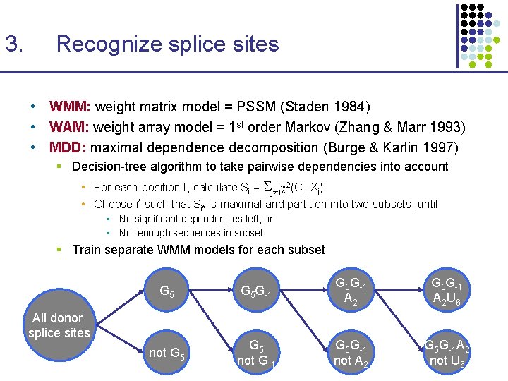 3. Recognize splice sites • WMM: weight matrix model = PSSM (Staden 1984) •