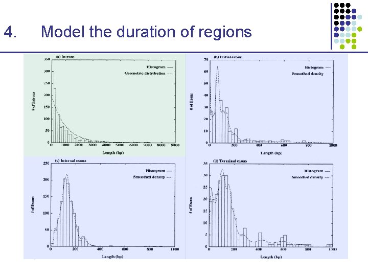 4. Model the duration of regions 