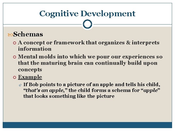 Cognitive Development Schemas A concept or framework that organizes & interprets information Mental molds