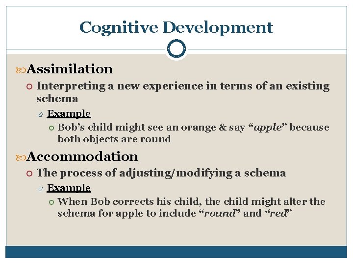 Cognitive Development Assimilation Interpreting a new experience in terms of an existing schema Example