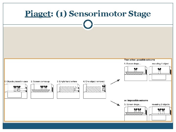 Piaget: (1) Sensorimotor Stage 